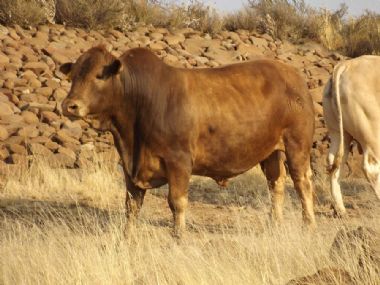 Lot 3 T 14 118 - 
